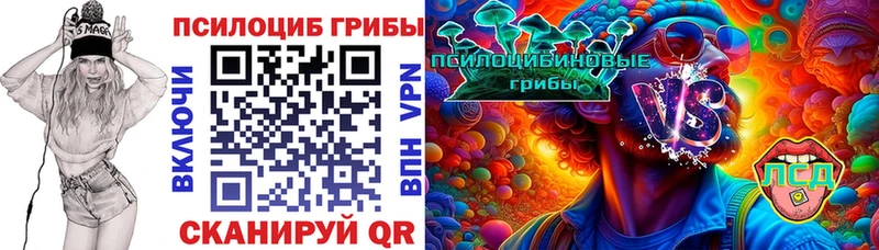Псилоцибиновые грибы мухоморы сколько стоит Поворино
