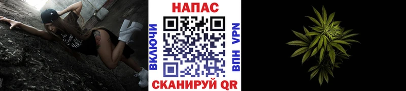 как найти закладки  Поворино  Бошки Шишки гибрид 